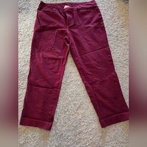 Faded Glory Burgundy Pants